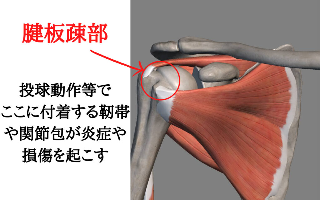 自宅で簡単にできる対処法